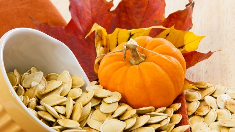 The benefits and harms of pumpkin for the body: composition and properties of the vegetable, rules for its use