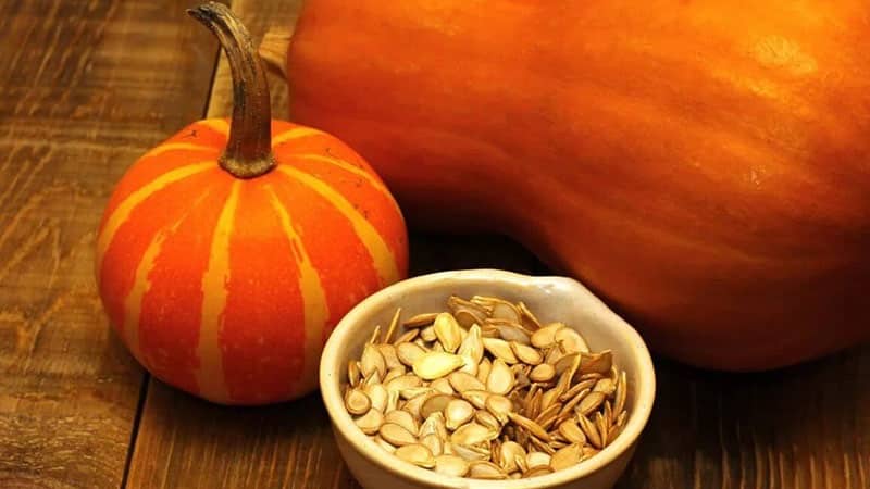 The benefits and harms of pumpkin for the body: composition and properties of the vegetable, rules for its use