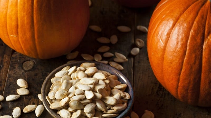 The benefits and harms of pumpkin for the body: composition and properties of the vegetable, rules for its use