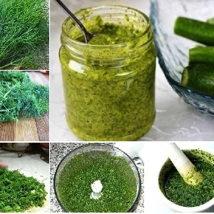 Dill sauce recipes for the winter: prepare a delicious dressing with your own hands