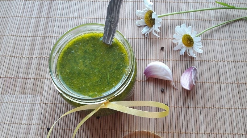 Dill sauce recipes for the winter: prepare a delicious dressing with your own hands