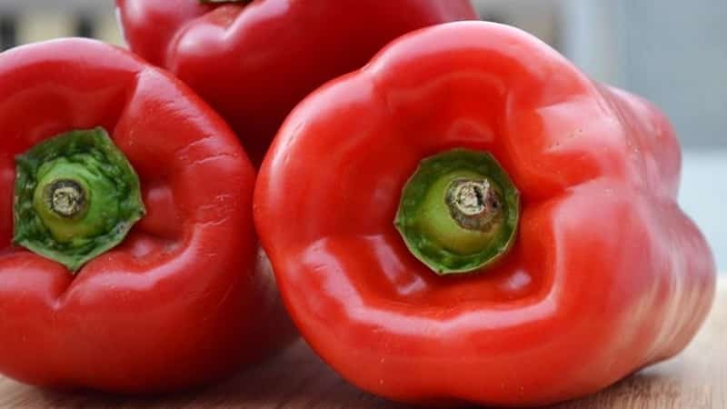 Sweet and juicy pepper variety Tolstyachok for greenhouses and open ground