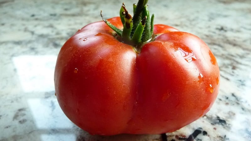 Tomato Em Champion: characteristics and description of the variety, reviews from those who planted tomatoes and photos