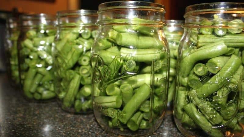 Top 10 best pickled bean recipes: making delicious winter preparations with your own hands