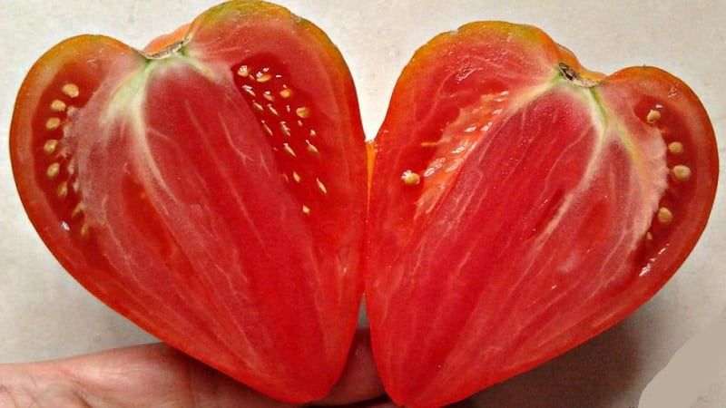 Delicious and aromatic tomatoes that look like giant berries - the amazing German Red Strawberry tomato