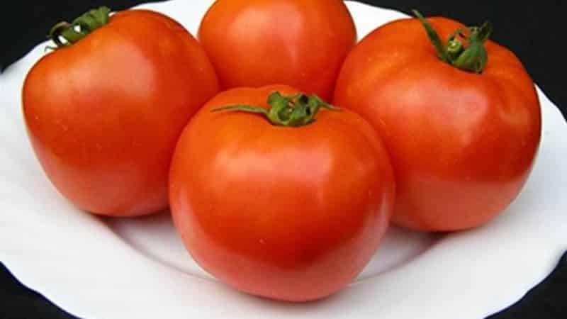 Bright and tasty Dutch tomato variety Tanya: let's get acquainted with the advantages and grow it ourselves
