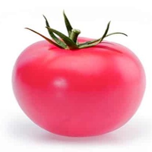 Sweet, large and very fragrant Pandarose tomatoes - decoration of the garden bed