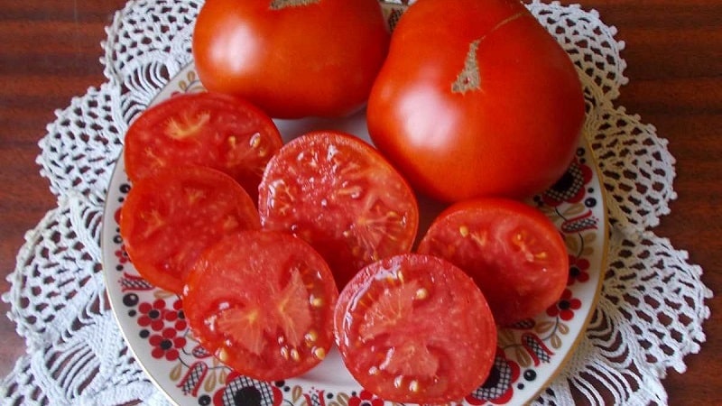 A low-growing variety for novice summer residents - Mongolian dwarf tomato: description of the variety and reviews of its cultivation