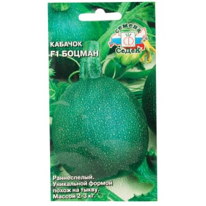 The best varieties of zucchini for open ground: photos with descriptions, tips for choosing