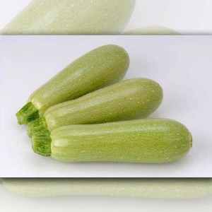 The best varieties of zucchini for open ground: photos with descriptions, tips for choosing