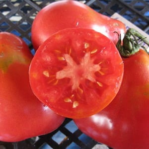 A pear-shaped variety with a sweet taste and amazing aroma - Ivan Kupala tomato