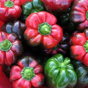 How to cook Ratunda pepper with honey for the winter: recipes for preservation in tomato sauce, oil and marinades