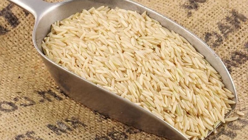 How is Basmati rice different from regular rice?
