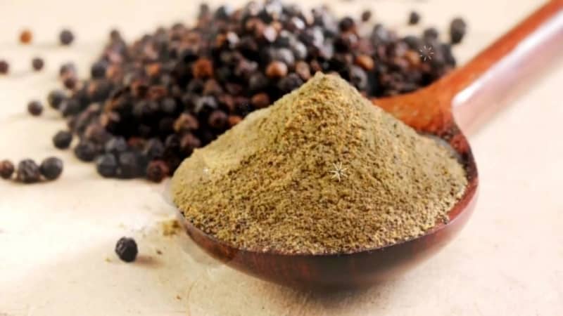 How allspice grows in the natural environment and how to grow it at home