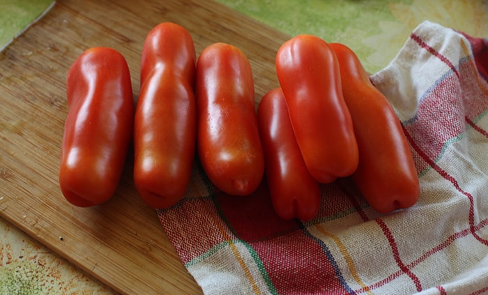 What will pleasantly surprise you with the unusual-looking Zhigalo tomato: reviews, photos and descriptions of agricultural technology
