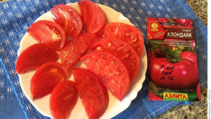 Champion in beta-carotene content: Klondike tomato, recommended for dietary nutrition