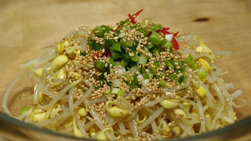 What are the benefits of bean sprouts, how to sprout them correctly and cook them deliciously