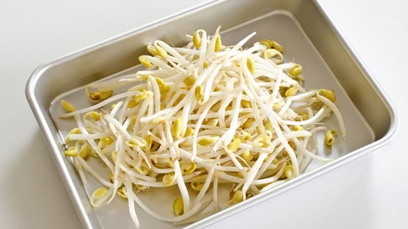 What are the benefits of bean sprouts, how to sprout them correctly and cook them deliciously