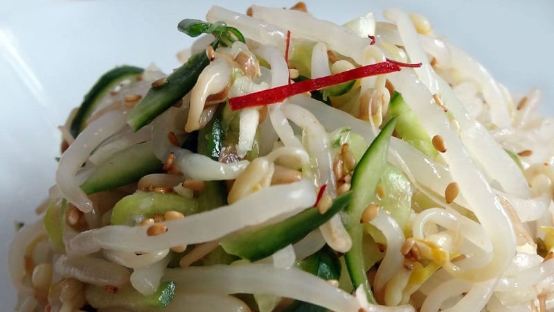 What are the benefits of bean sprouts, how to sprout them correctly and cook them deliciously