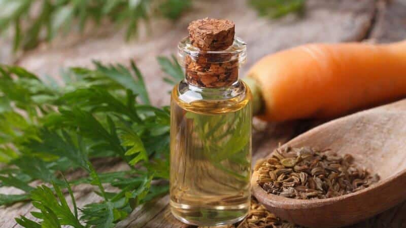 What are the benefits of dill seeds for the pancreas and how to use them correctly