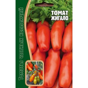 What will pleasantly surprise you with the unusual-looking Zhigalo tomato: reviews, photos and descriptions of agricultural technology