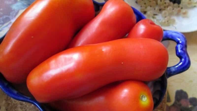 What will pleasantly surprise you with the unusual-looking Zhigalo tomato: reviews, photos and descriptions of agricultural technology