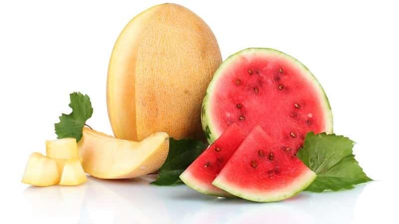 What is healthier - watermelon or melon: comparison of compositions and properties