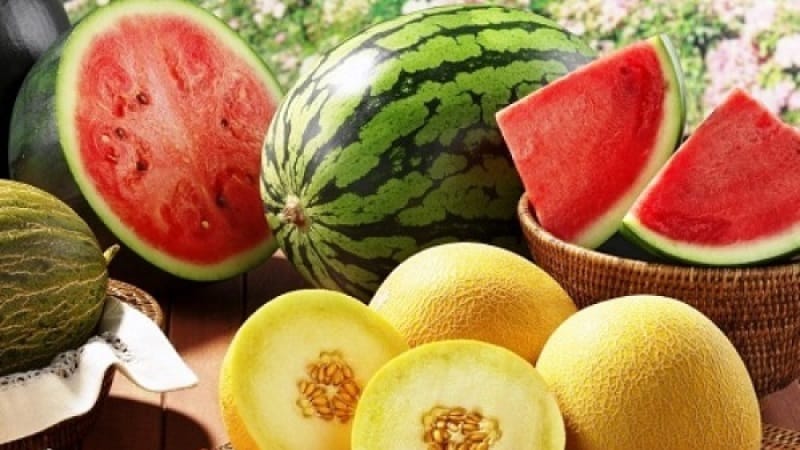 What is healthier - watermelon or melon: comparison of compositions and properties