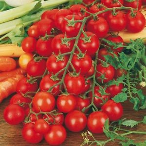 Long vines strewn with delicious tomatoes - Rapunzel tomato: description, photo and growing instructions