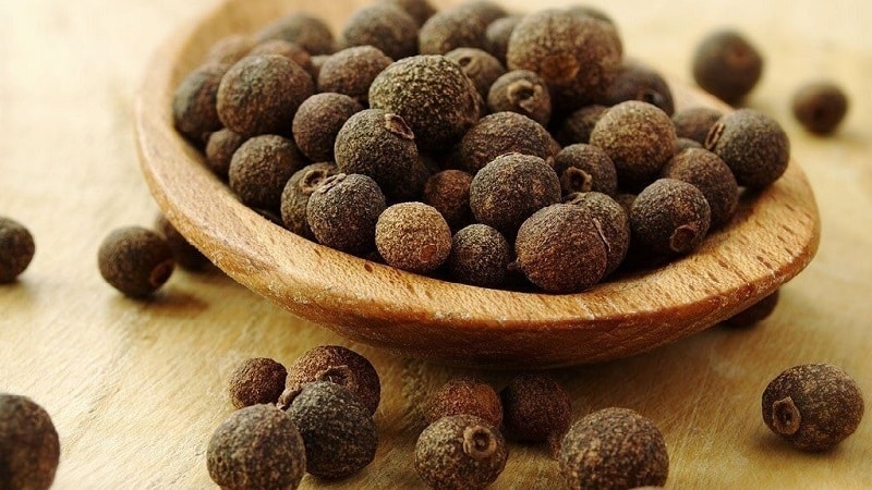 Are allspice and black pepper the same thing?