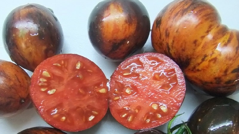 An exotic variety with a unique appearance - the Gargamel tomato and the intricacies of its cultivation