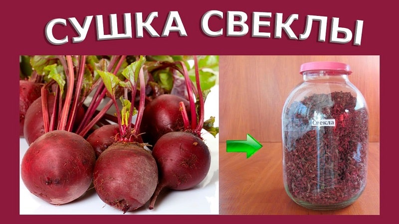 An interesting preparation for the winter: we store dried beets correctly along with the tops and use them in cooking