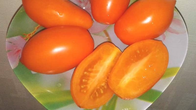 Fulfills the wishes of summer residents for a rich harvest - the Goldfish tomato and the secrets of its cultivation