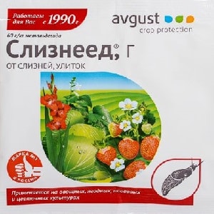 How to deal with slugs on peppers in a greenhouse: the most effective methods of protecting crops from the pest
