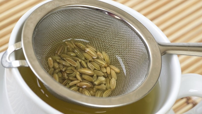 How to properly brew and take dill seeds for coughs for children and adults