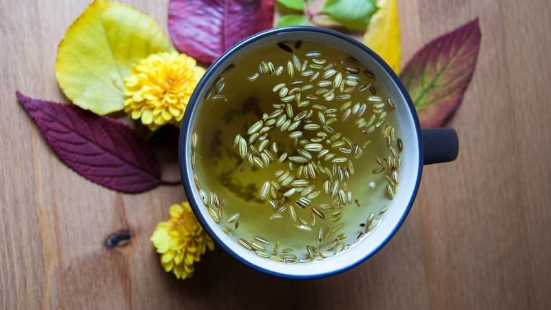 How to properly brew and take dill seeds for coughs for children and adults