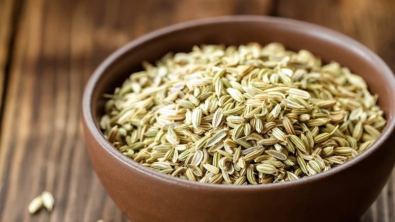 How to properly brew and take dill seeds for coughs for children and adults