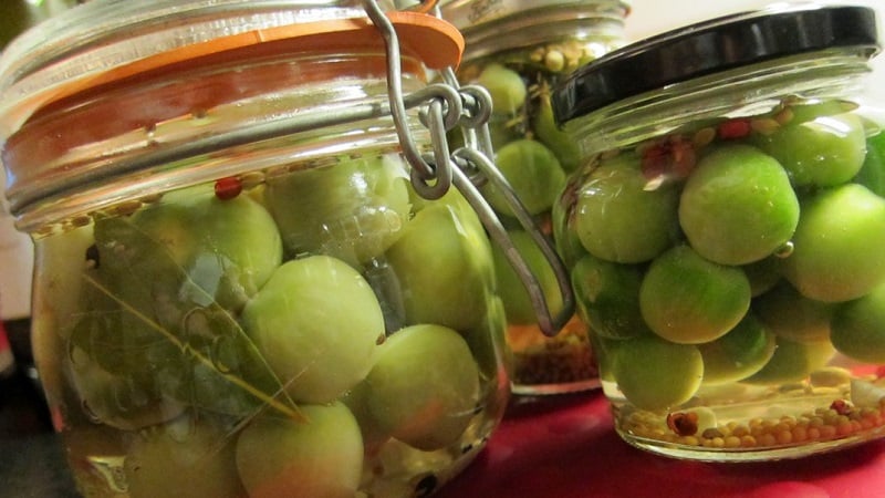 How to cook the most delicious green tomatoes for the winter: a selection of the best recipes