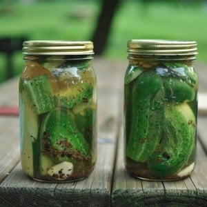 How to deliciously prepare Chinese cucumbers for the winter: recipes and useful tips