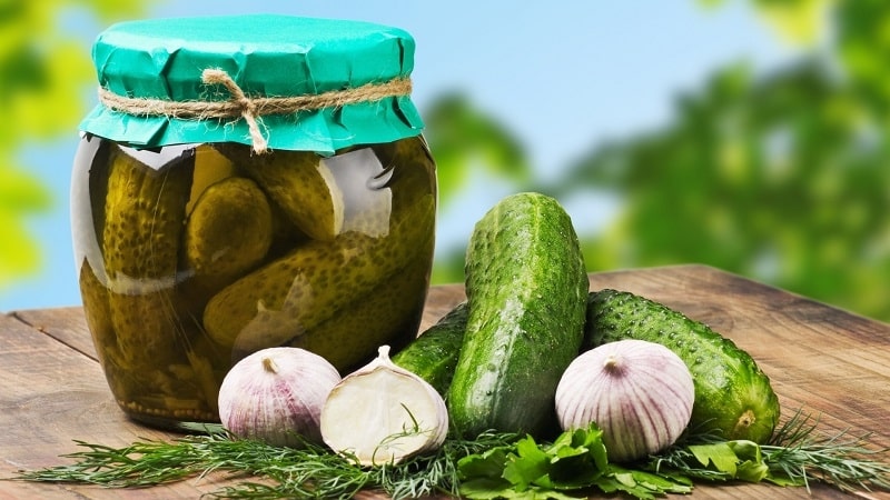 How to prepare pickled cucumbers with aspirin simply and tasty: 7 best recipes