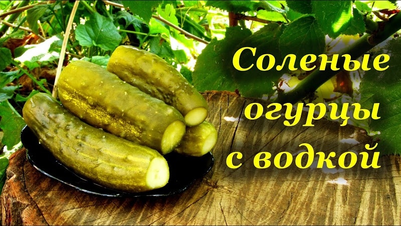 How to prepare crispy cucumbers with vodka for the winter: recipes and useful tips