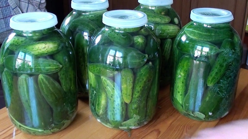 How to prepare crispy cucumbers with vodka for the winter: recipes and useful tips