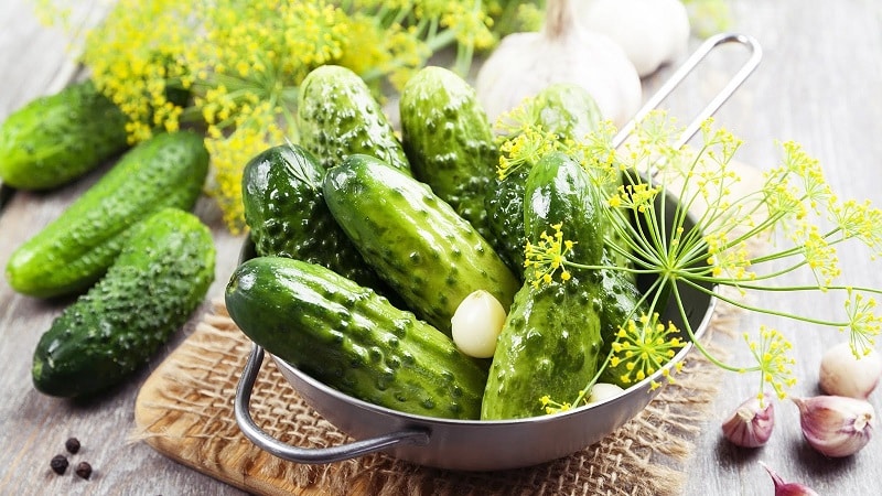 How to prepare crispy cucumbers with vodka for the winter: recipes and useful tips