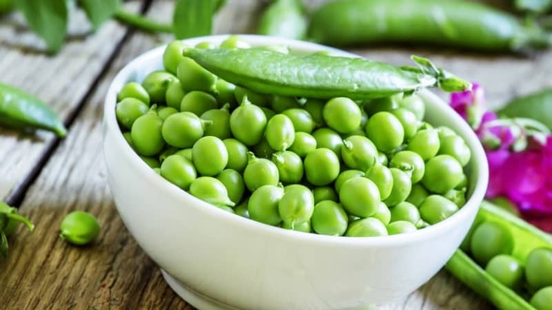 How to pickle green peas for the winter at home: the best recipes and recommendations for storing preparations