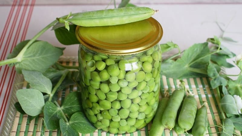 How to pickle green peas for the winter at home: the best recipes and recommendations for storing preparations