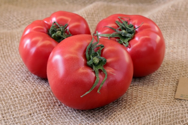 Sweet, fleshy and easy-to-care tomato Sensei - description of agricultural technology and advice from experienced summer residents