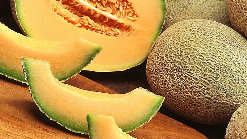 Is it possible to eat melon on an empty stomach: benefits, harms and contraindications