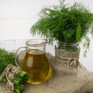Is it possible to eat dill for gastritis and how to use it in traditional medicine recipes