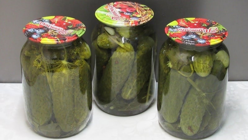 Is it possible to preserve bitter cucumbers: influence on taste and recipes for twists
