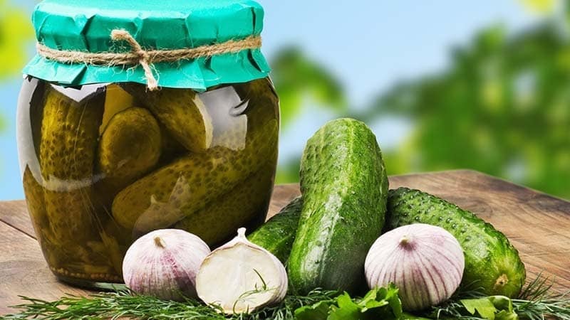 Is it possible to preserve bitter cucumbers: influence on taste and recipes for twists